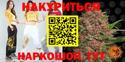 индика Владимир