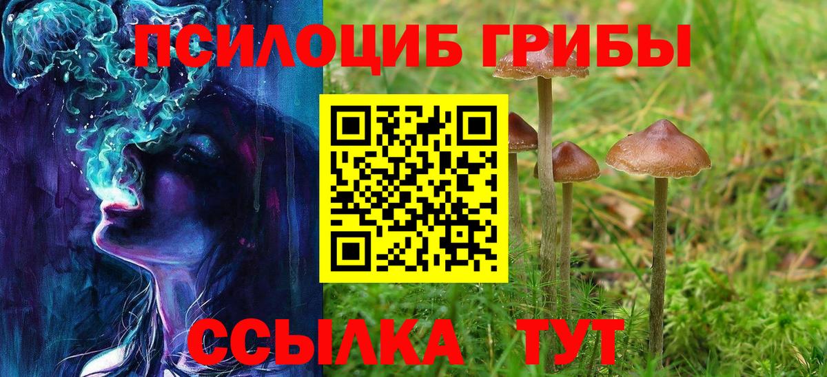 Галлюциногенные грибы мухоморы  Вход с VPN  Дзержинск 